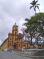 /album/reforestacion/consaca-jpg/